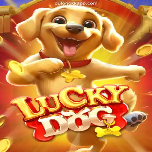 Exploring the Thrills of LuckyDog: OutonoKK Cassino Online Experience